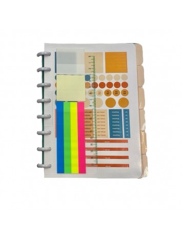 PLANNER 2025 16x21 TRAMA 162 PAGINAS CON DISCOS - PPR SOLUTION - BIG LIFE