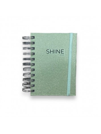 AGENDA 2025 10x15 ESPIRAL SHINE DIARIA