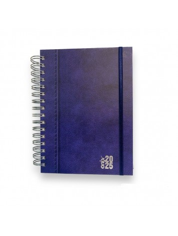 AGENDA 2025 16x22 ESPIRAL UOMO COLORS DIARIA