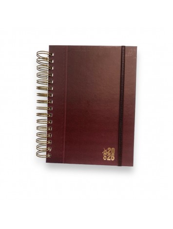 AGENDA 2025 16x22 ESPIRAL UOMO COLORS DIARIA