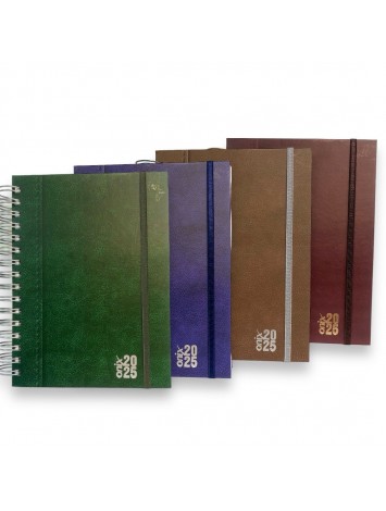 AGENDA 2025 16x22 ESPIRAL UOMO COLORS DIARIA