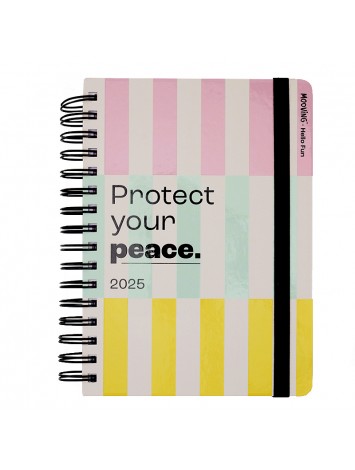 AGENDA 2025 15x21 DIARIA HELLO FUN - MOOVING