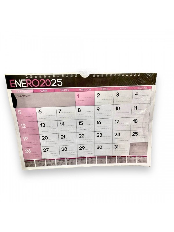 PLANNER ANILLADO 45x31CM  2025