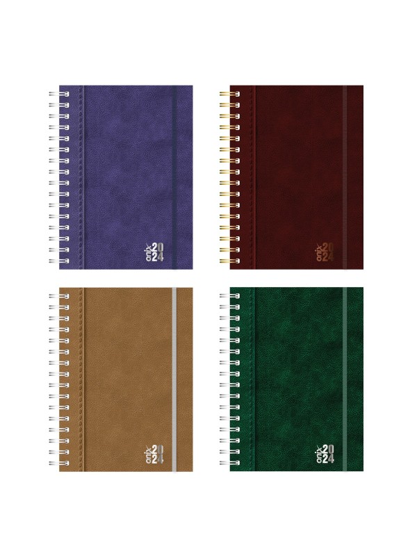 AGENDA 16x22 ESPIRAL UOMO COLORS DIARIA  2024