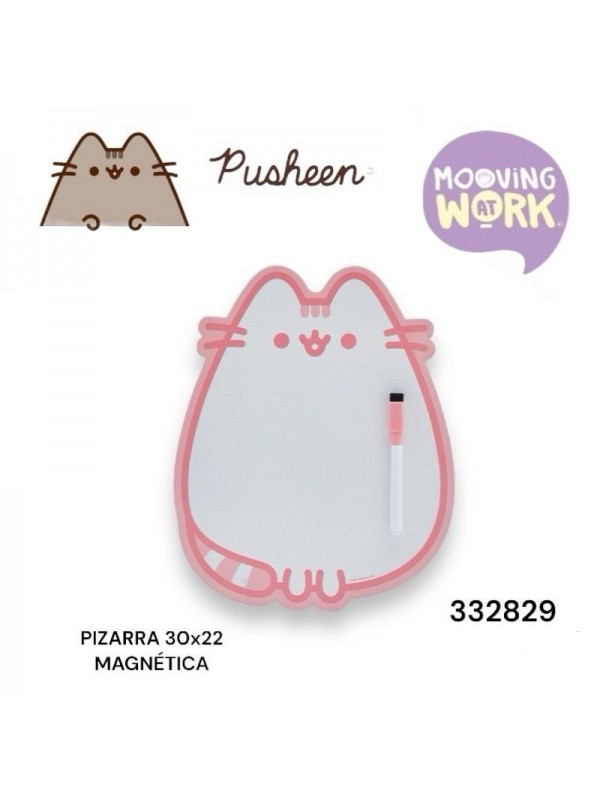 PIZARRA 30x22 PUSHEEN MOOVING