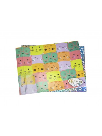 CARPETA CON CORDON N°5 REXON HOLOGLITTER CAT WORLD