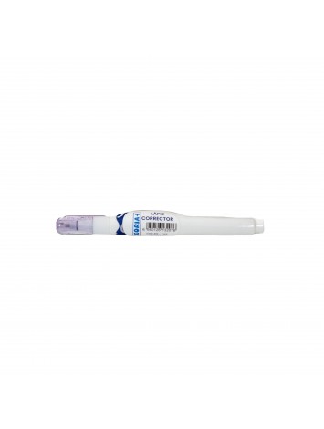 x12 CORRECTOR TEORIA 419 7ml