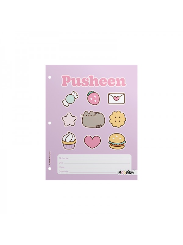 x6 SEPARADOR N°3 PUSHEEN MOOVING